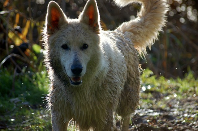 Fotos/Noah/17 november 2008.JPG