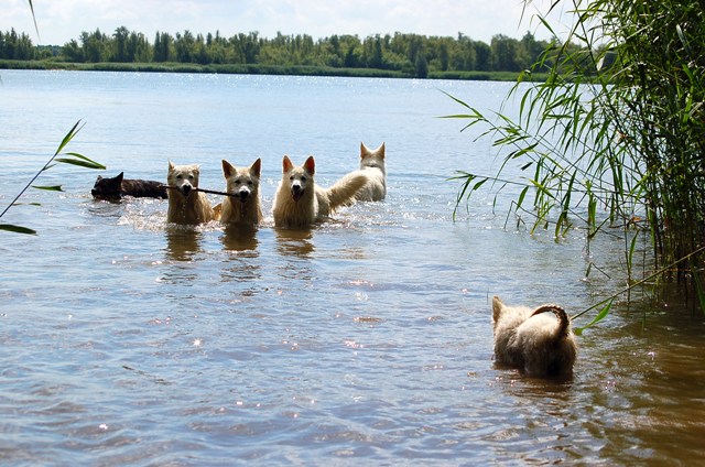 Fotos/Noah/30juni 08.JPG