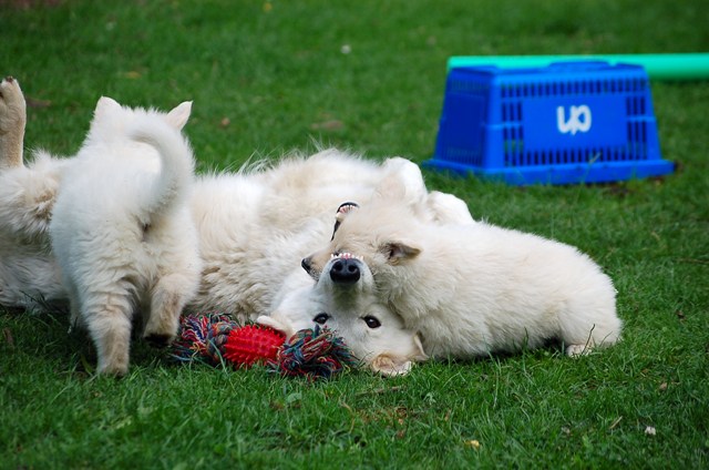 Fotos/Noah/7 aug 2008.JPG