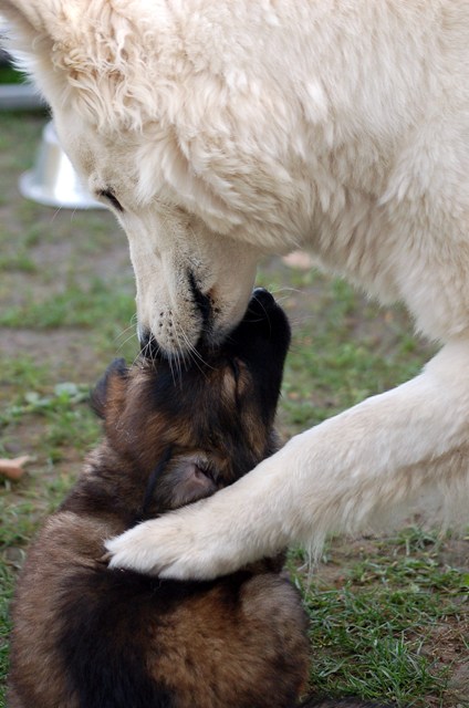 Fotos/Noah/DSC_Anouk van der Zee (4).JPG