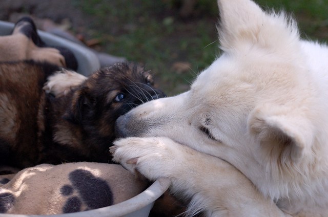 Fotos/Noah/DSC_Anouk van der Zee (47).JPG