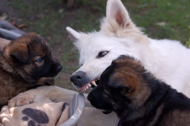 Fotos/Noah/DSC_Anouk van der Zee (48).JPG