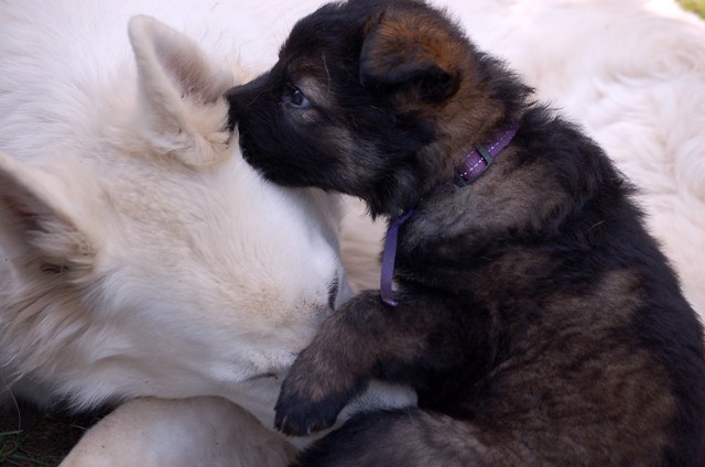 Fotos/Noah/DSC_Anouk van der Zee (54).JPG