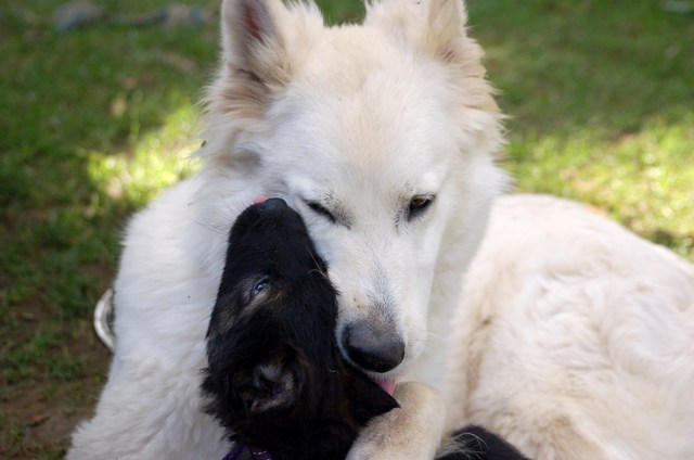 Fotos/Noah/DSC_Anouk van der Zee (56).JPG