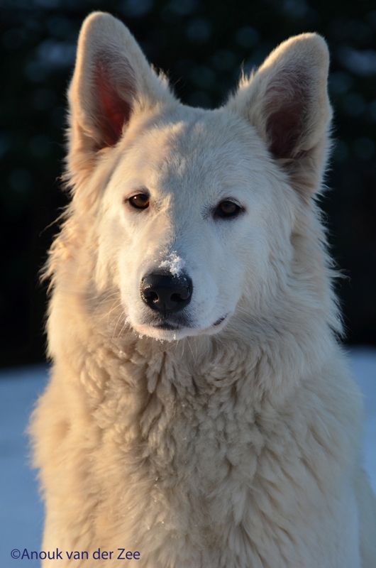 Fotos/Roos/DSC_7452.JPG