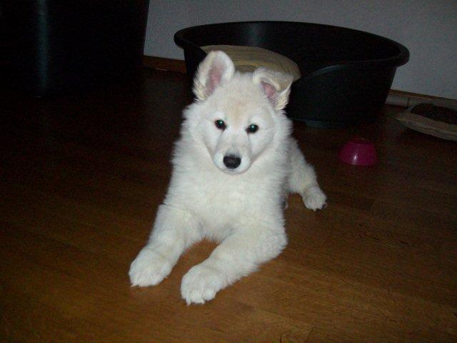 Fotos/sterre/100_1184.jpg