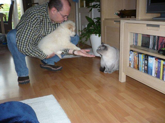 Fotos/VervolgI-nest/vervolg/doerak/Doerak3.jpg