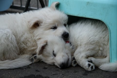 Fotos/VervolgI-nest/week 6/IMG_3101.jpg