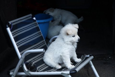 Fotos/VervolgI-nest/week 6/IMG_3153.jpg
