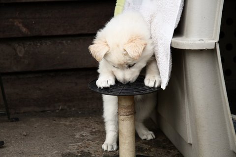Fotos/VervolgI-nest/week 6/IMG_3304.jpg
