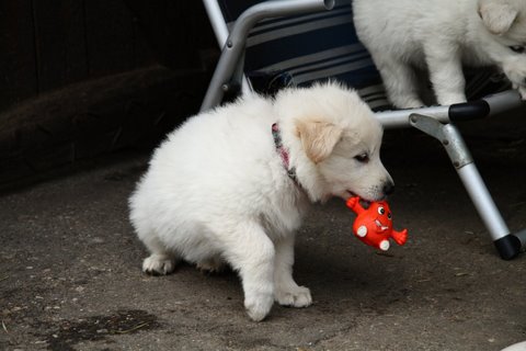 Fotos/VervolgI-nest/week 6/IMG_3308.jpg