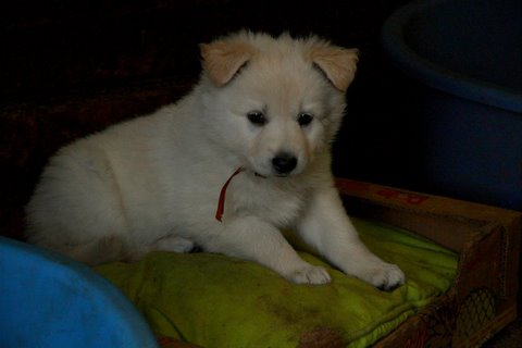 Fotos/VervolgI-nest/week 6/IMG_3310.jpg