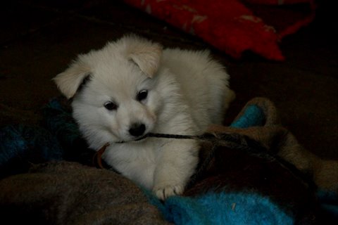 Fotos/VervolgI-nest/week 6/IMG_3311.jpg