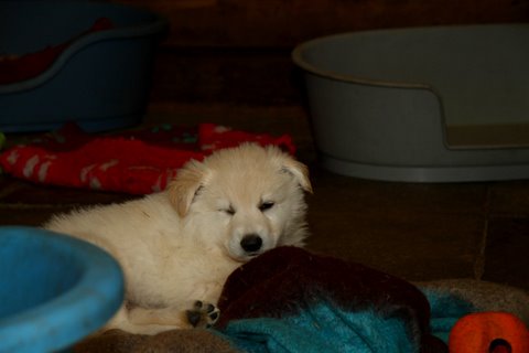 Fotos/VervolgI-nest/week 6/IMG_3332.jpg