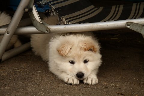 Fotos/VervolgI-nest/week 6/IMG_3338.jpg