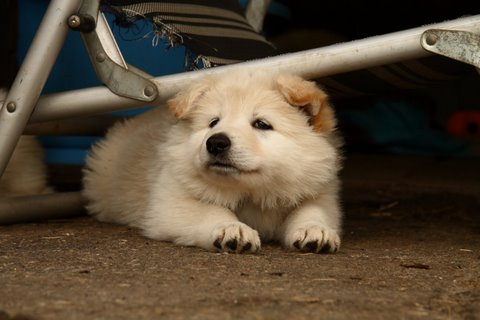 Fotos/VervolgI-nest/week 6/IMG_3339.jpg