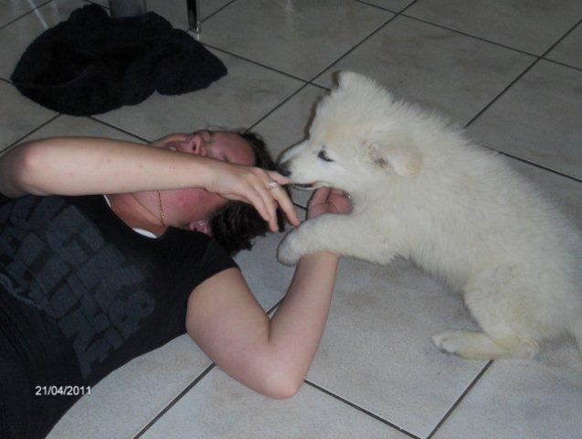 Fotos/2011vervolgKnest/Bruce/HPIM3786 (640x482) (640x482).jpg