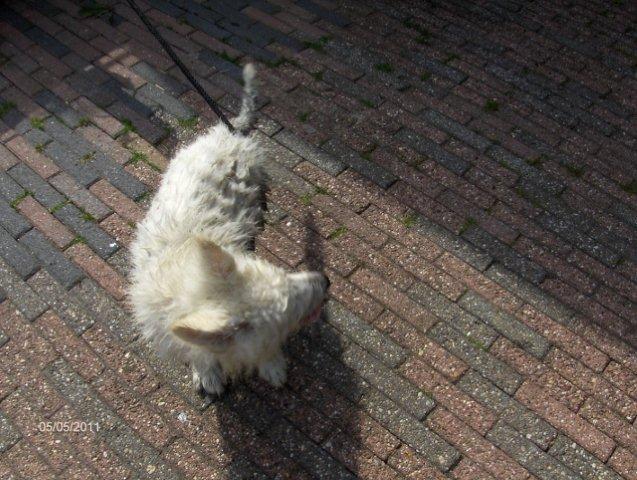 Fotos/2011vervolgKnest/Bruce/HPIM3834 (640x482) (640x482).jpg