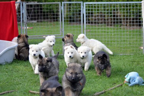 Fotos/2011KnestFennah/week7/DSC_8406.JPG