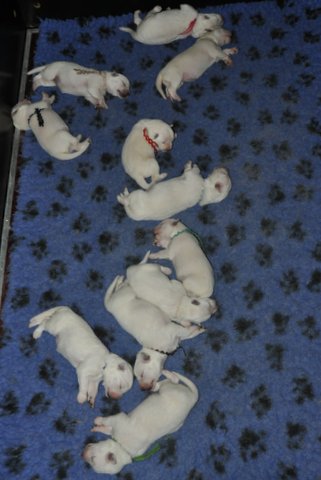 Fotos/2012 M-Nest Fennah/Week1/DSC_0044.JPG
