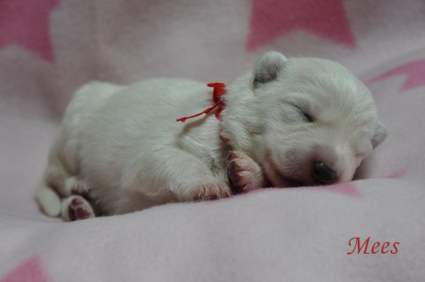 Fotos/2012 M-Nest Fennah/Week1/portret/DSC_0086.JPG