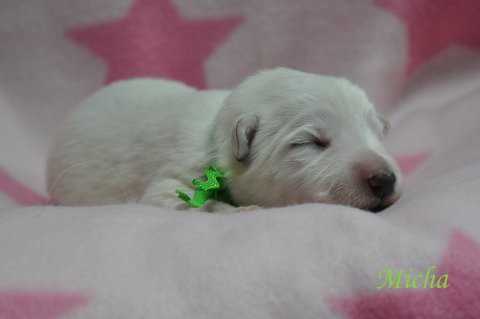 Fotos/2012 M-Nest Fennah/Week1/portret/DSC_0107.JPG