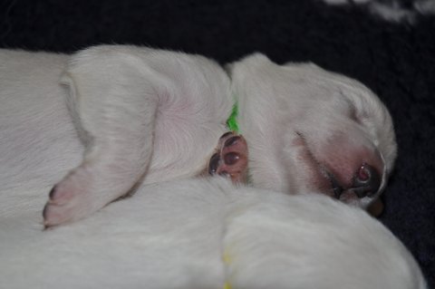 Fotos/2012 M-Nest Fennah/Week1/DSC_0118.JPG