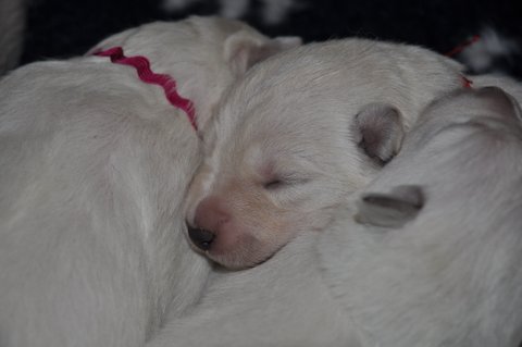 Fotos/2012 M-Nest Fennah/Week1/DSC_0121.JPG
