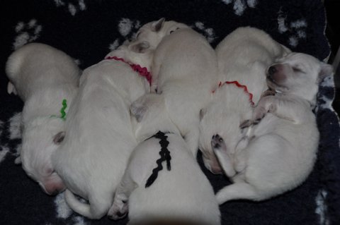 Fotos/2012 M-Nest Fennah/Week1/DSC_0127.JPG