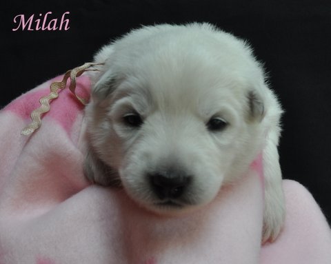 Fotos/2012 M-Nest Fennah/Week2/DSC_0182.JPG
