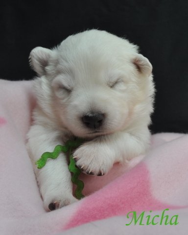 Fotos/2012 M-Nest Fennah/Week2/DSC_0216.JPG