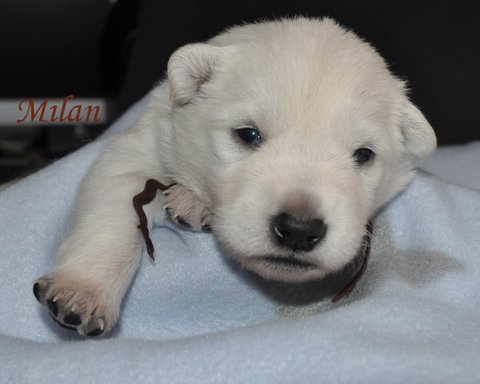 Fotos/2012 M-Nest Fennah/Week2/DSC_0224.JPG