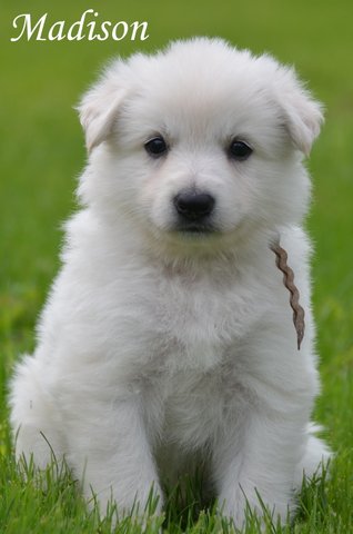 Fotos/2012 M-Nest Fennah/Week5/Madison.JPG