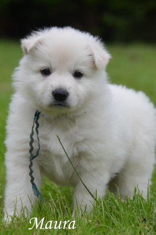 Fotos/2012 M-Nest Fennah/Week5/Maura.JPG