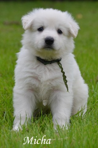 Fotos/2012 M-Nest Fennah/Week5/Micha.JPG