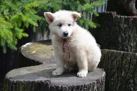 Fotos/2012 M-Nest Fennah/week6/DSC_5014.JPG