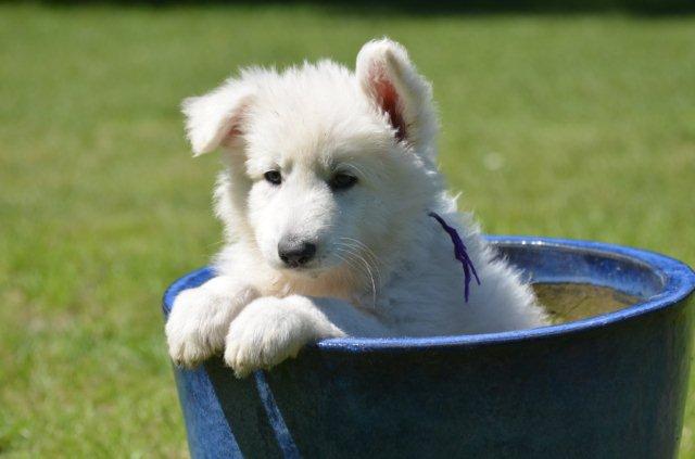 Fotos/2012 M-Nest Fennah/Week7/Paars Megan.jpg