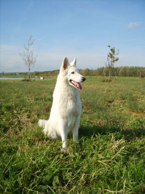 Fotos/Payka/S8301701.JPG