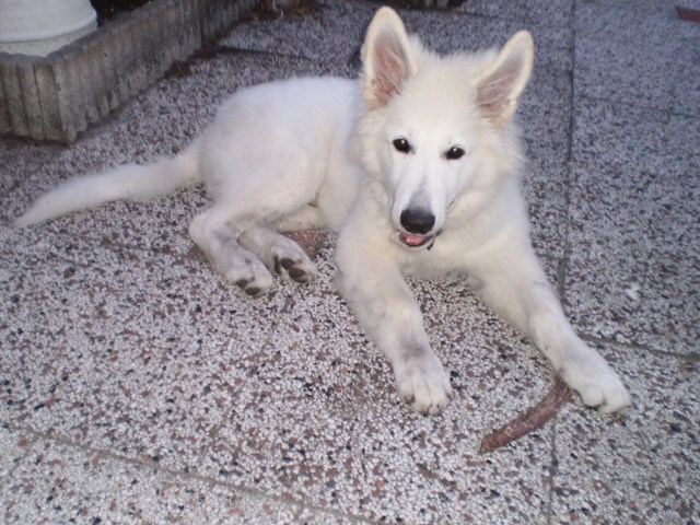 Fotos/Nest2009I/boedha/027.JPG