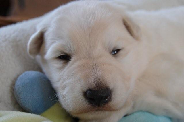 Fotos/Nest2009I/week2/reu 1.jpg