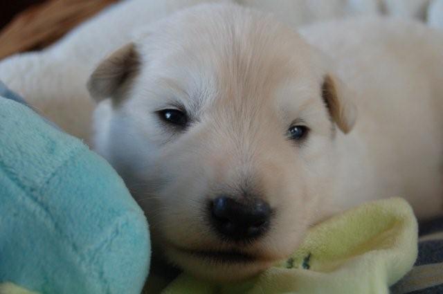 Fotos/Nest2009I/week2/reu 2.jpg