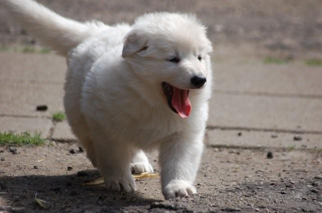 Fotos/indyweek3/week 5/DSC_8189.jpg