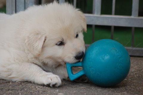 Fotos/indyweek3/week 5/DSC_8194.JPG