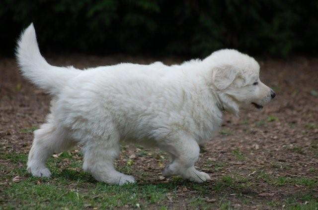 Fotos/indyweek3/week 5/DSC_8198.jpg