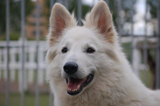 Fotos/indyweek3/week 5/DSC_8211.jpg