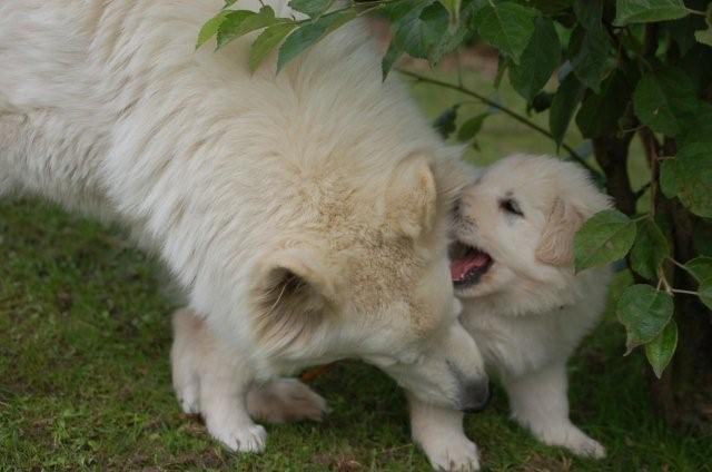 Fotos/indyweek3/week 5/DSC_8214.jpg