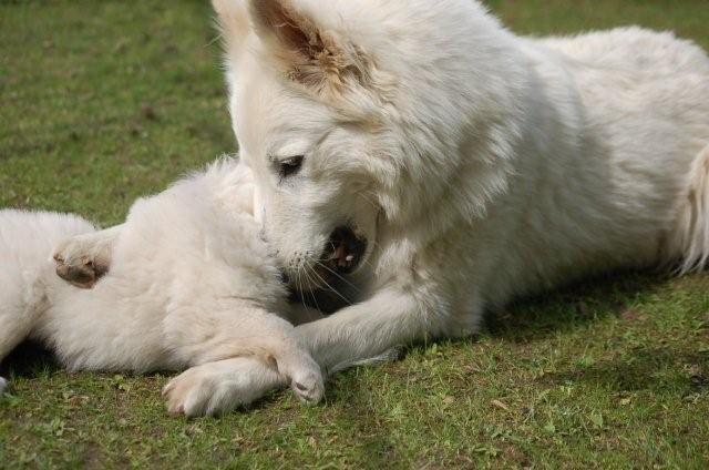 Fotos/indyweek3/week 5/DSC_8220.jpg