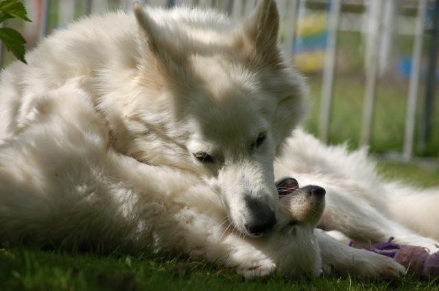 Fotos/indyweek3/week 5/DSC_8236.jpg