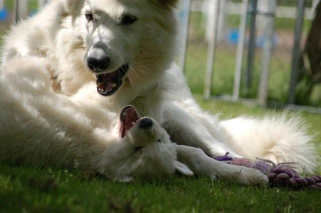 Fotos/indyweek3/week 5/DSC_8239.jpg