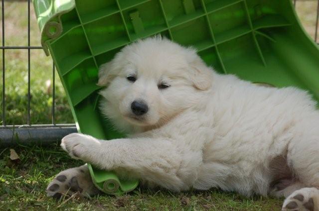 Fotos/indyweek3/week 5/DSC_8260.jpg